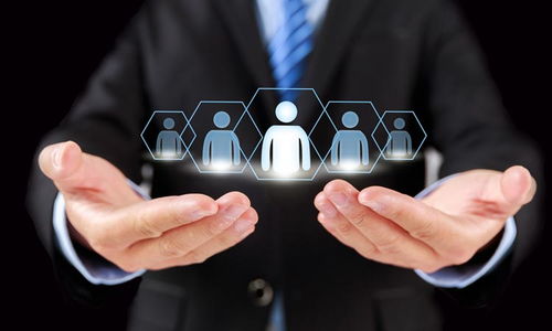 济南学华教育与淘学培训 教育咨询服务的深度解析